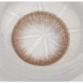 Polla Choco 13.3mm